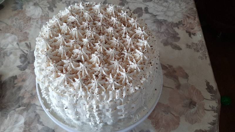 Torta Napoleone (raccolta di ricette)