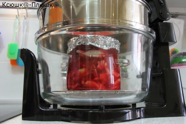 Borscht หรือหลักสูตรแรกใน airfryer (Airfryer Brand 35128)