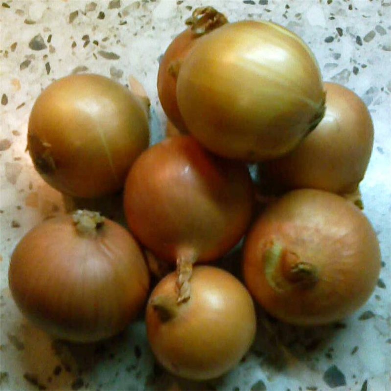 Sopa de cebolla (basada en Lyons)