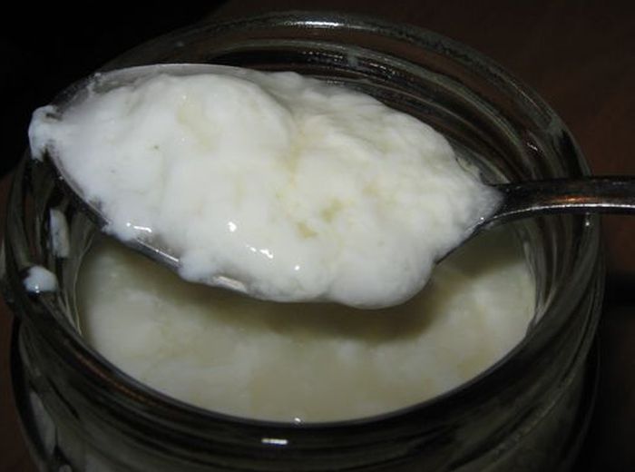 Yogur con cultivos iniciadores bacterianos (narine, Vivo, etc.)