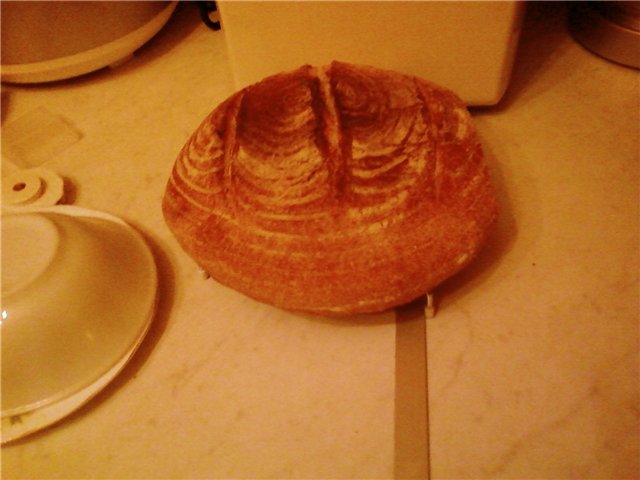 Sourdough bread in the oven