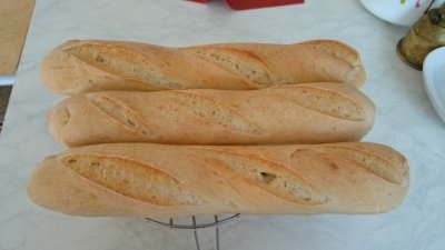 Pate fermentee cold dough baguette (Peter Reinhart)