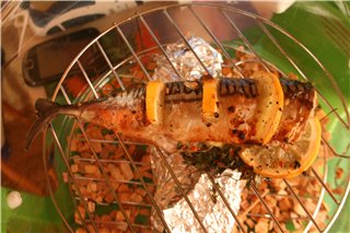 Verat al forn en un assecador d’aire