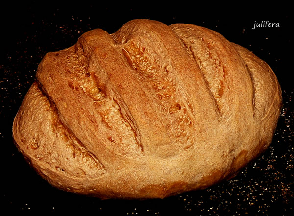 Rustiek brood op deeg volgens Kalvel (oven)