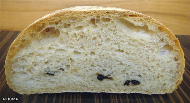 Pain de Campagne di Peter Reinhart (forno)