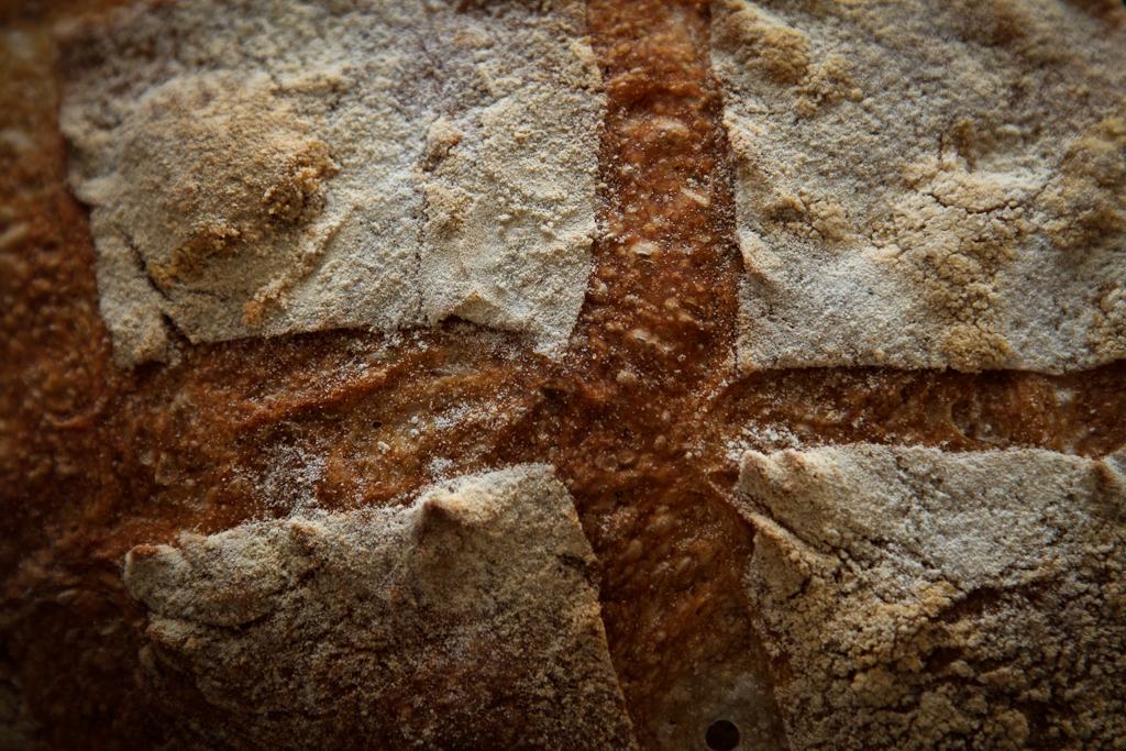 Rustic bread on the big