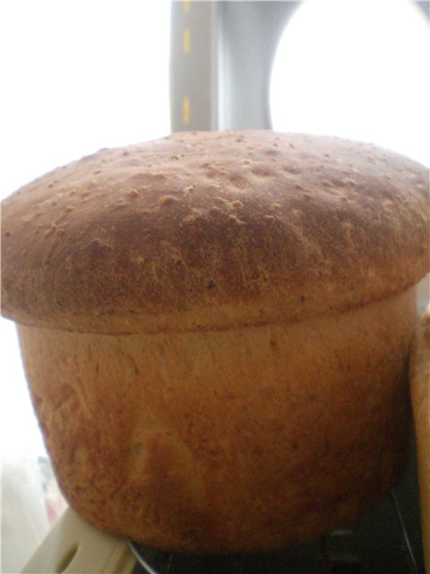 Anadama - Famous New England Bread (Peter Reinhart) (oven)