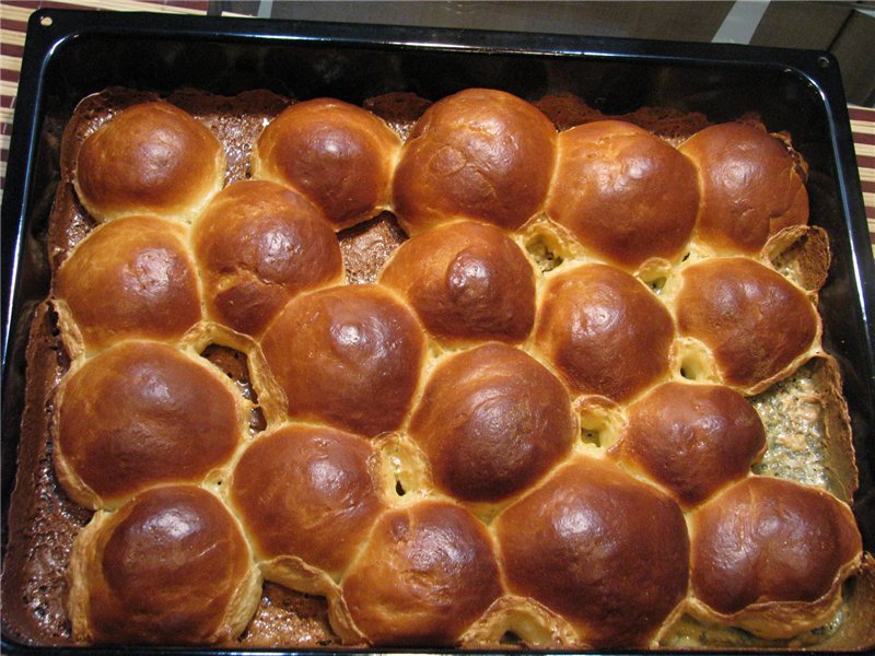 Buchteln buns (Buchtel) con ripieno di crema