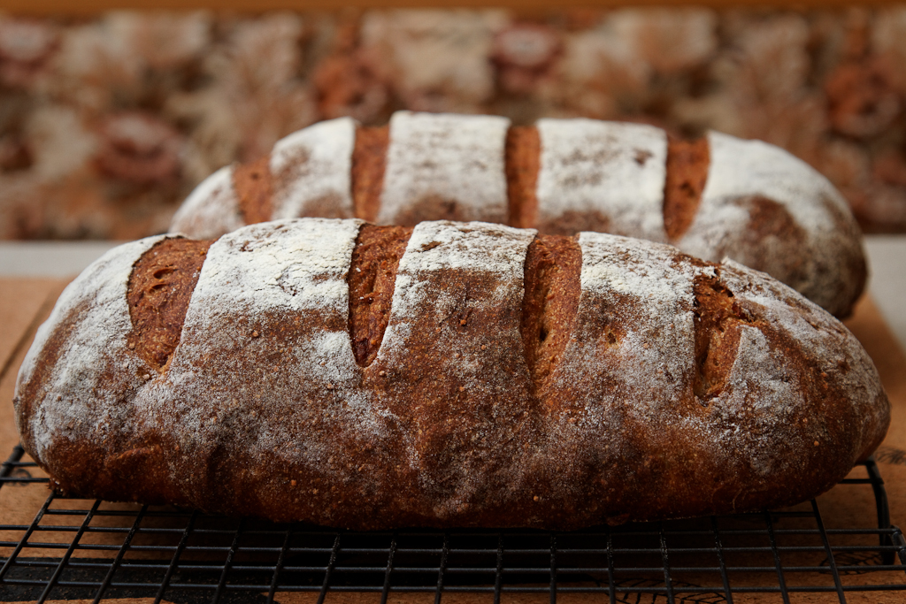 Pane ai fichi / Pan coi fichi