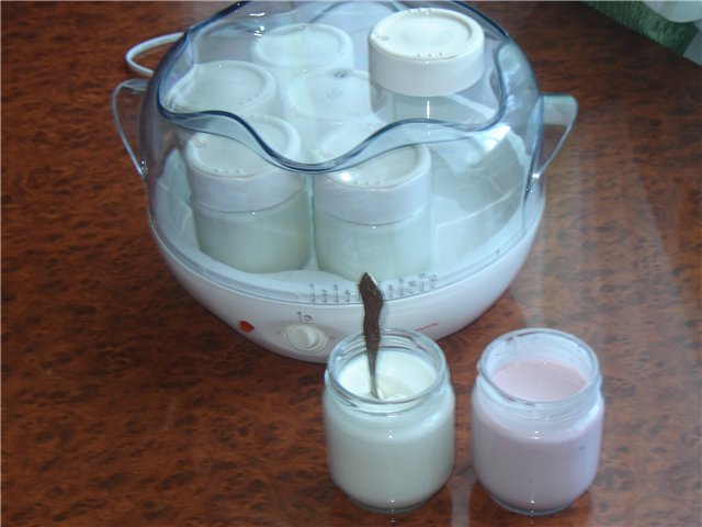 Yogurt maker - selezione, recensioni, domande sul funzionamento (1)