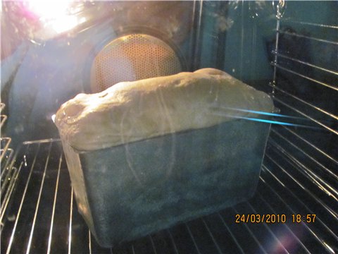 Sourdough bread in the oven