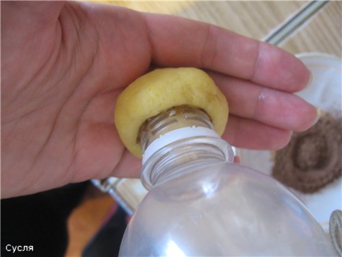 Mushroom Cookies