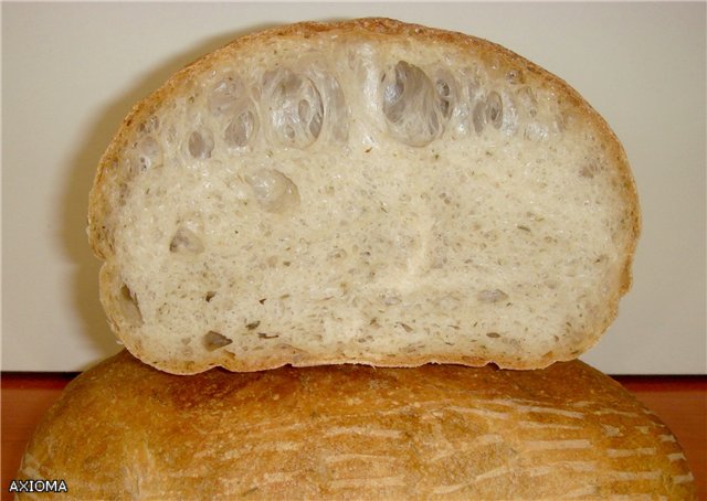 Pain de Campagne di Peter Reinhart (forno)