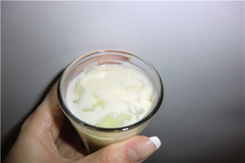 Yoghurt with bacterial starter cultures (narine, VIVO, etc.) (2)