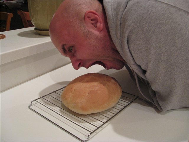 Wheat bread Italian Bread Pane All'olio (in the oven)