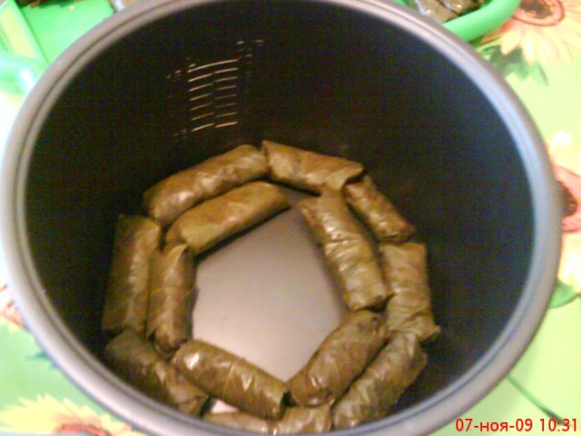 Dolma sa istilong Moldavian sa isang mabagal na kusinilya