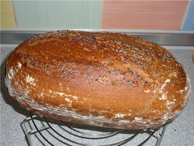 Pane alla contadina con spugna in una macchina per il pane