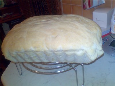 Bread Brick (bread maker)