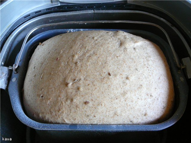 Pane alla contadina con spugna in una macchina per il pane