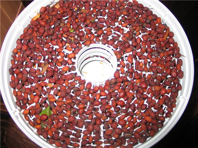 Dried rosehip