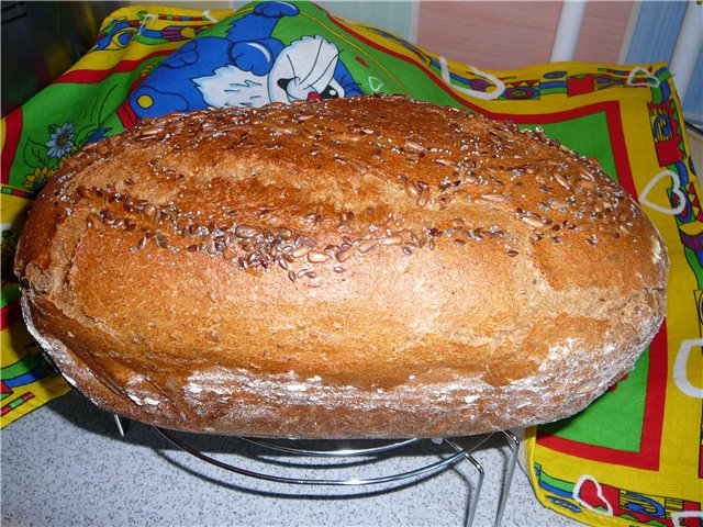 Pane alla contadina con spugna in una macchina per il pane