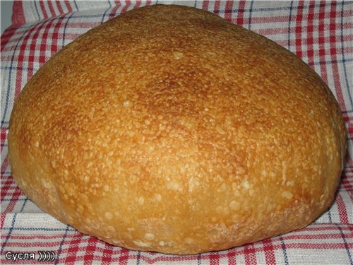 Ciabatta, Peter Reinhart (puliszkán)