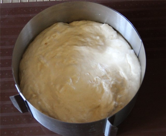 Pastel De Sombrero Cardenal