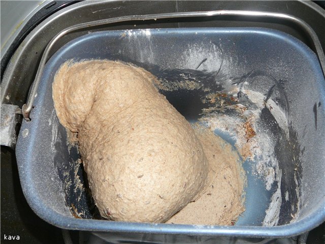 Pane alla contadina con spugna in una macchina per il pane