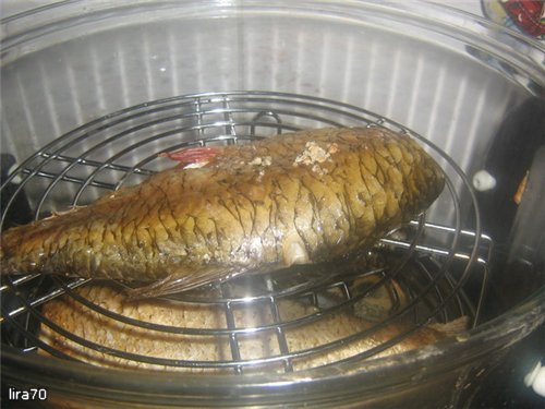 Spaarvarken met recepten voor de Airfryer (links, discussies, tips, problemen)