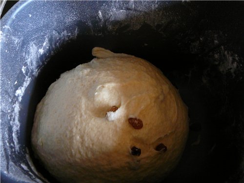 Imburrare il pane con la pasta madre in una macchina per il pane