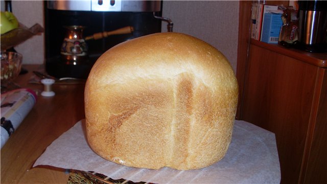 Pane italiano in una macchina per il pane