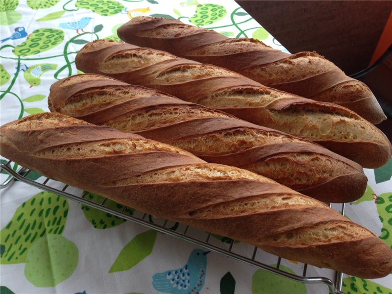 Pate fermentee bánh mì bột lạnh (Peter Reinhart)