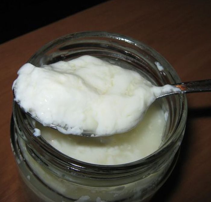 Yogur con cultivos iniciadores bacterianos (narine, Vivo, etc.)