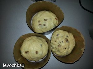 Torta di Pasqua sui tuorli (impastare in una macchina per il pane)