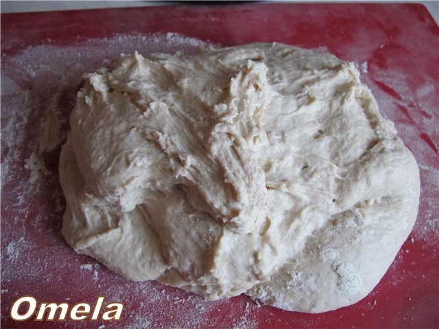 Pan de trigo sobre cerveza polaca según Bertina en el horno