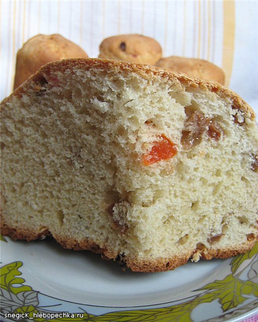 Kulich Tender con kumquat candito