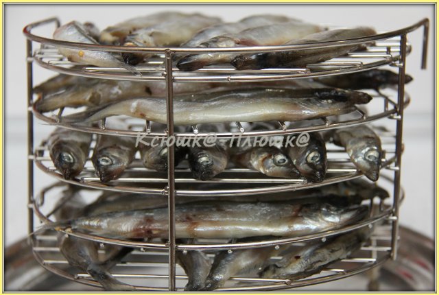 Capelin speziato / affumicato a freddo (affumicatoio marca 6060)