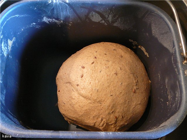 Pane alla contadina con spugna in una macchina per il pane