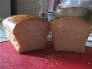 Pane arioso a lievitazione naturale