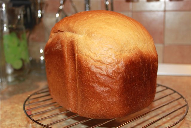 Pane gastronomico (macchina per il pane)