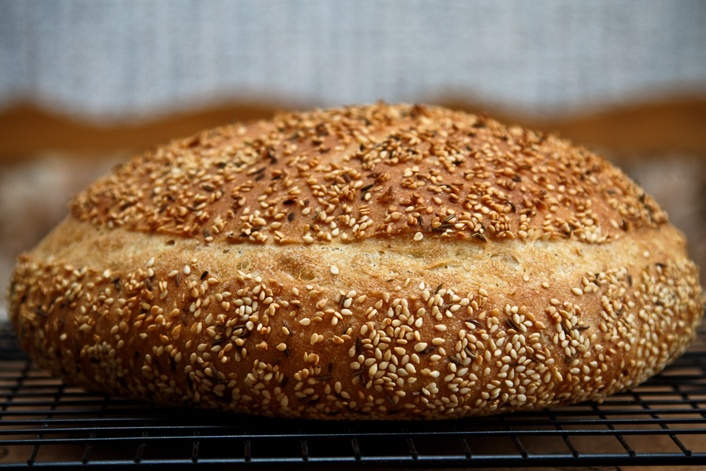 Koulouri, grecki chleb wiejski (Koulouri) w piekarniku