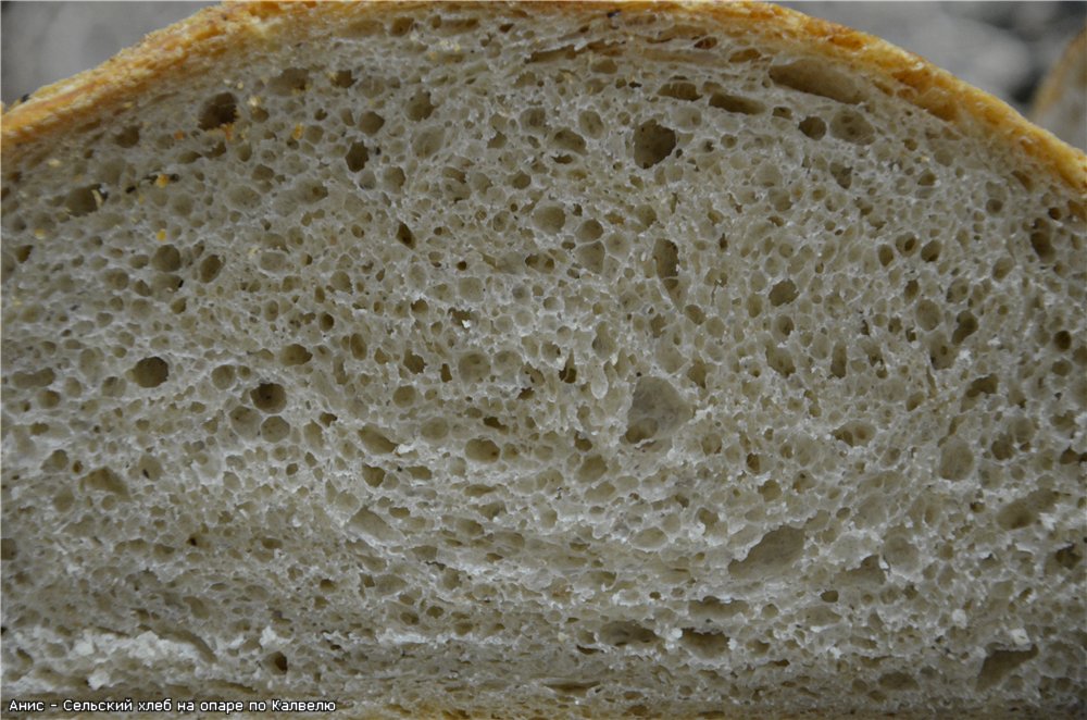 Rustic bread on dough according to Kalvel (oven)