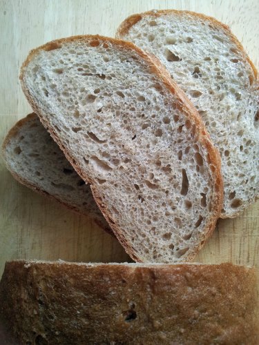 Country loaf with bran (in the oven)