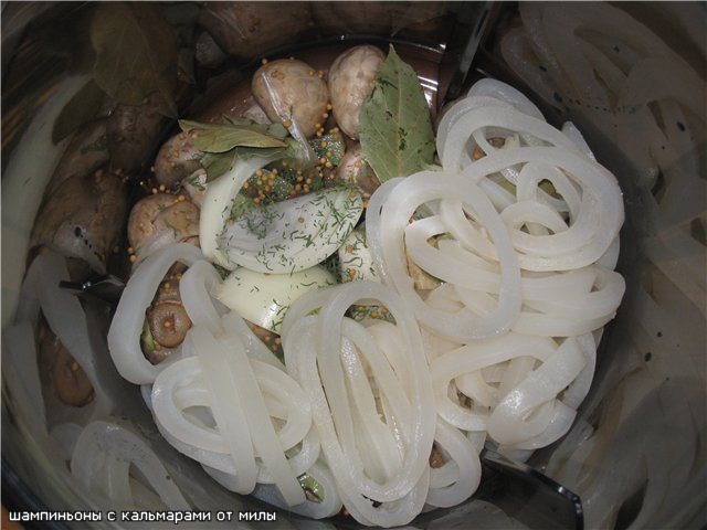 Champignons con calamari veloci