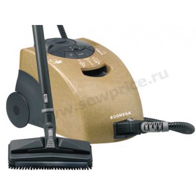 Steam cleaner (steam generator)