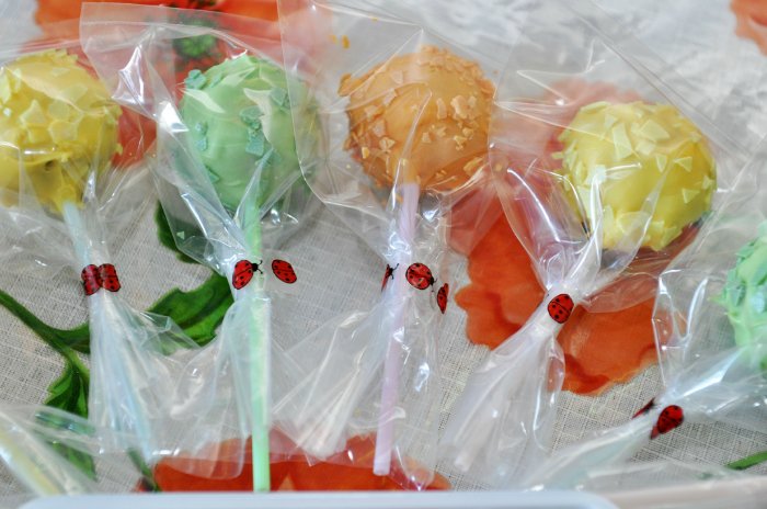 Cake Pops and Cake balls