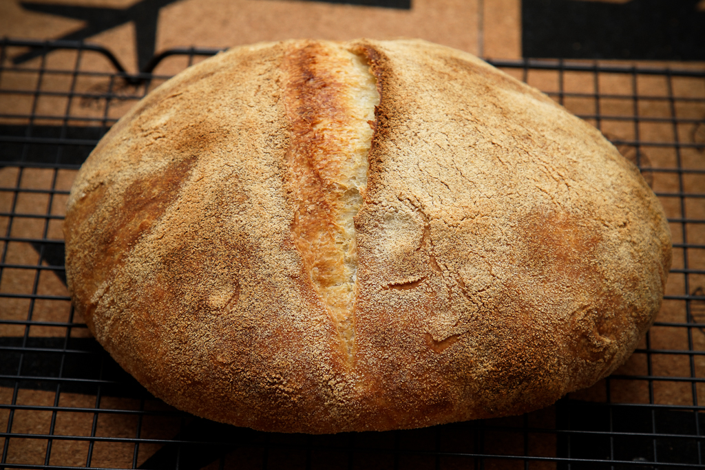 Pan Altamuro (Pane di Altamuro) en el horno