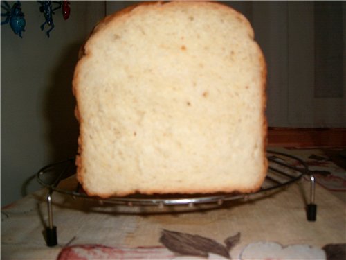 Pan italiano con cebolla y orégano con tomates en una máquina de pan