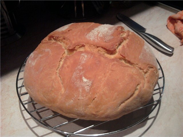 Pane di grano su pasta matura (autolievitazione)