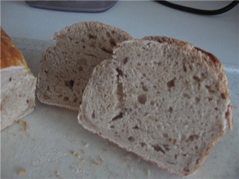 Pan de masa madre (en el horno)